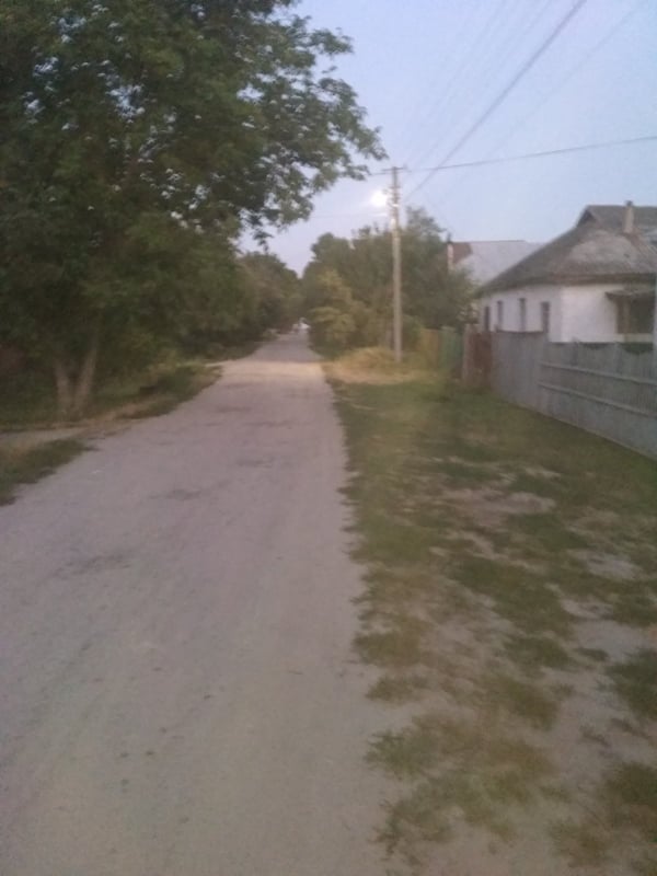 117208422 571138707096224 991295653725682617 n