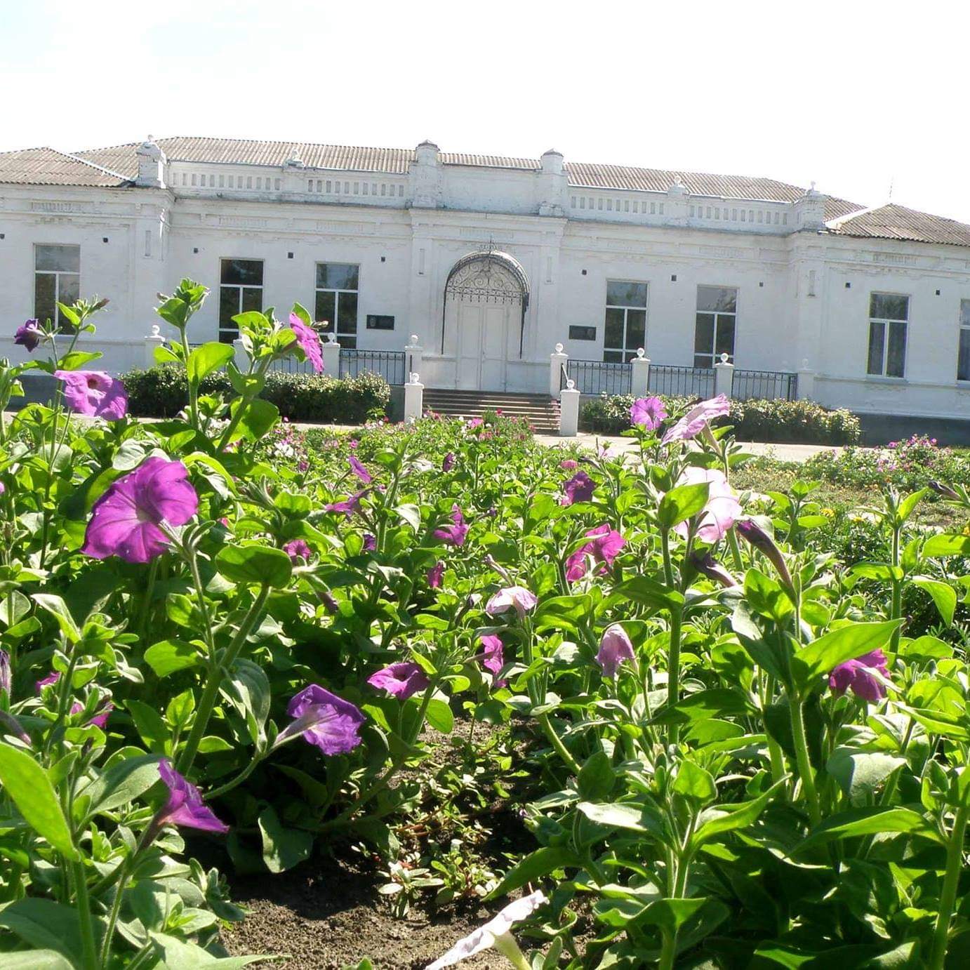 61568968 103583840895542 4930685359899017216 n