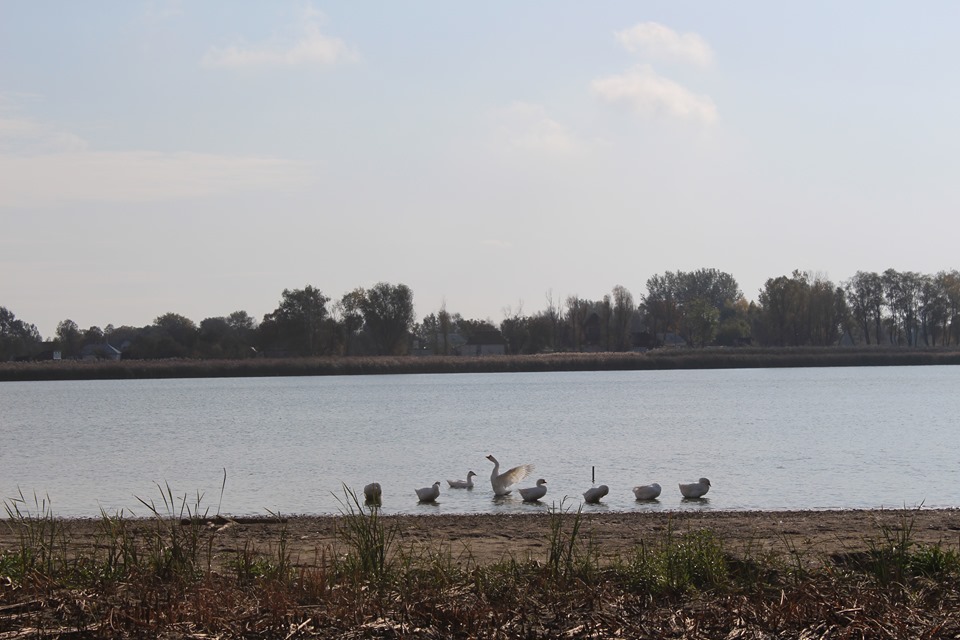 71709457 543804443116591 6493343952815521792 n