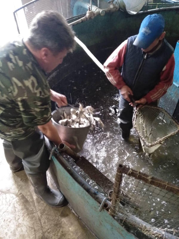 103291706 248067366474309 6239487399650202035 n