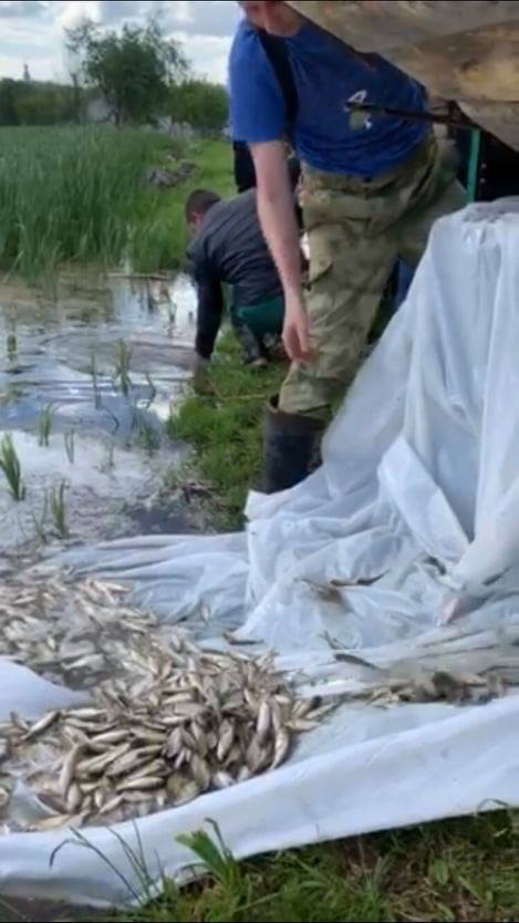 103445727 538473446813517 6159190100139942905 n