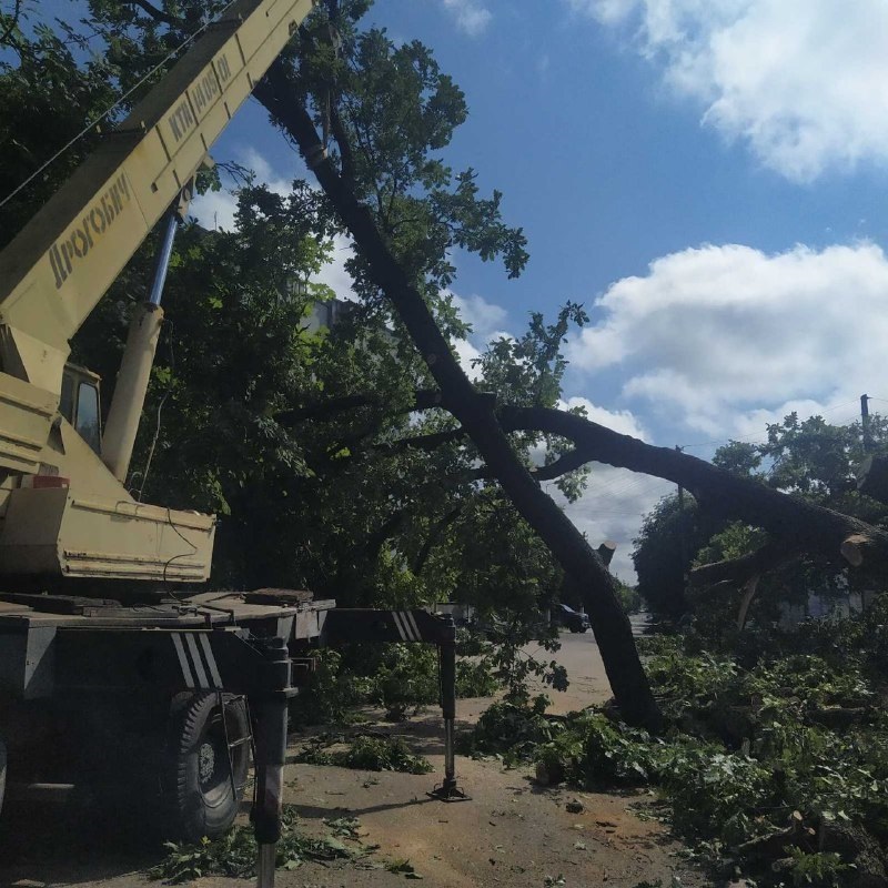 655147fc ef68 4182 b8be 4a4b5e0fac0f