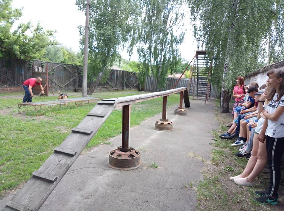 62497621 327711691463602 2157244394971856896 n