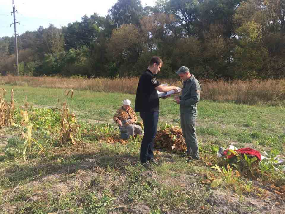 70562783 434574820487056 4611989788579332096 n