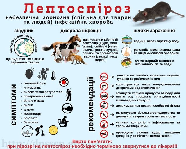 Leptospiroz