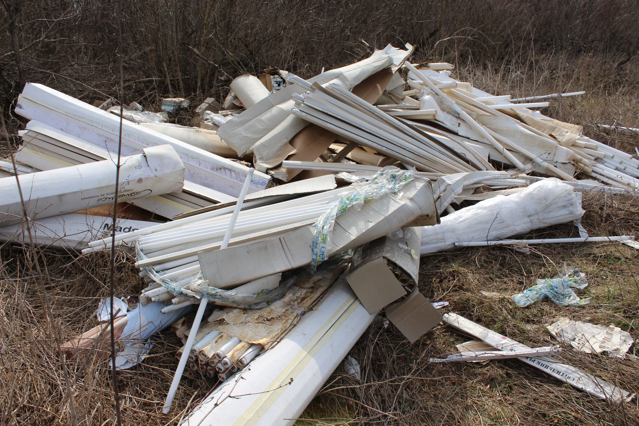 169643190 220843453130787 6759035007068450514 n