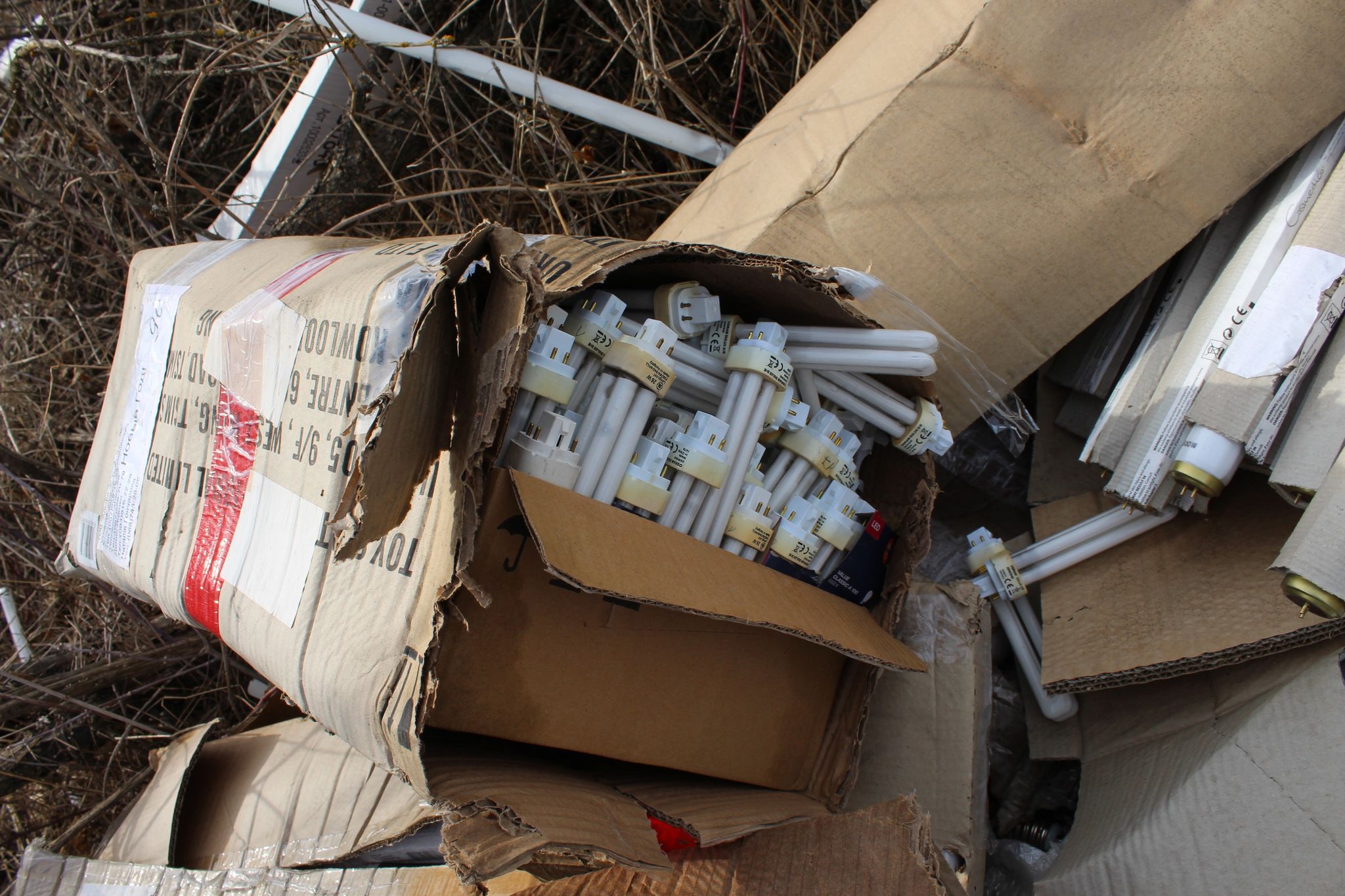 170032794 453074062631775 9167361704699733651 n