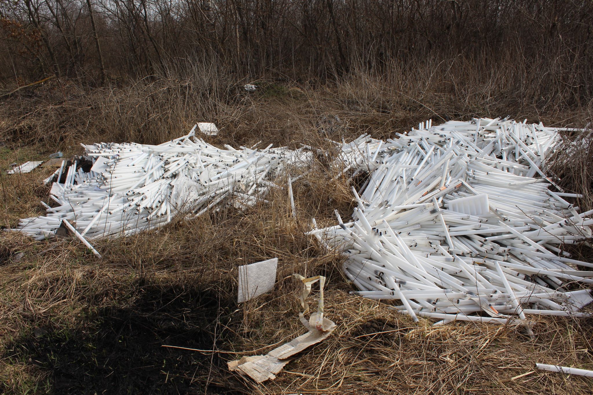 170131990 869704516939669 5340575121578821529 n