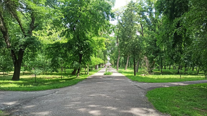 198580490 539552930376488 8510113370827396375 n