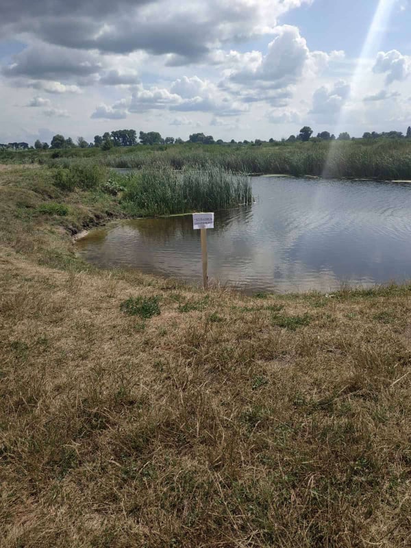 225044048 544721863438168 2202839247860114337 n