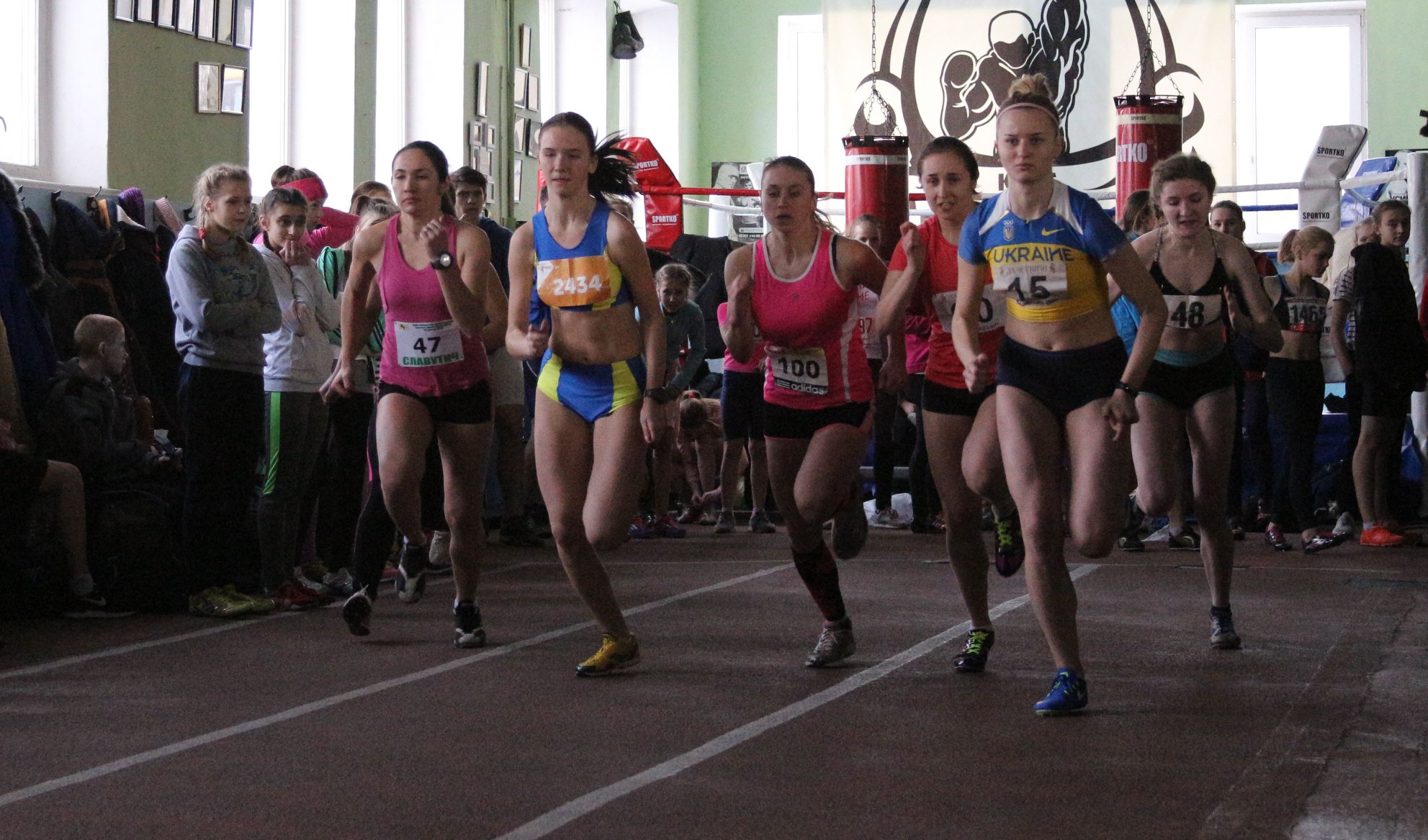 49947817 1783954635061040 8505227211173789696 o