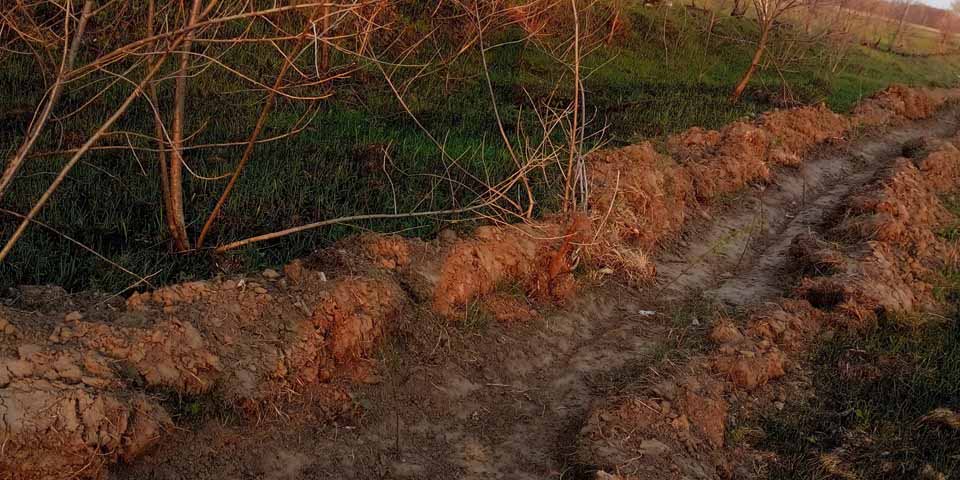 58570564 377397992863619 248903078609158144 n