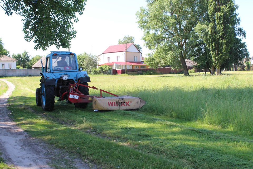 62135669 442231223002114 7567177744950231040 n