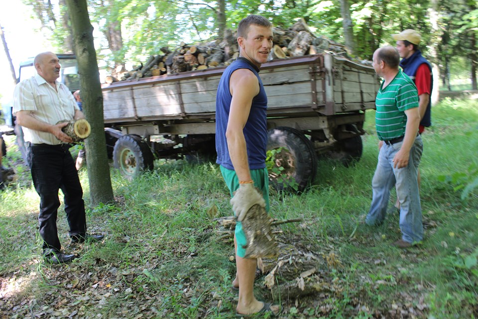 62230527 438210580068929 731934282041262080 n